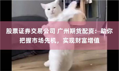 股票证券交易公司 广州期货配资：助你把握市场先机，实现财富增值